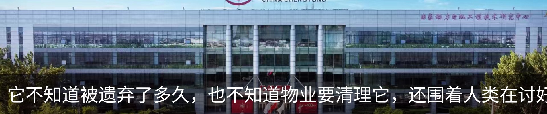 资讯动态