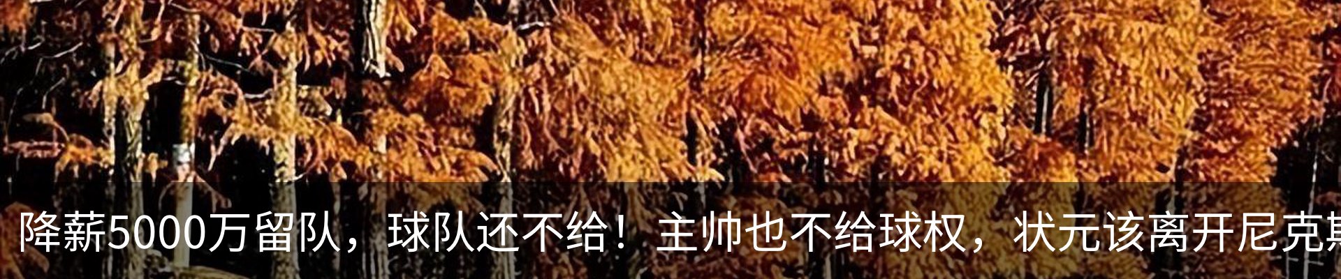 资讯动态
