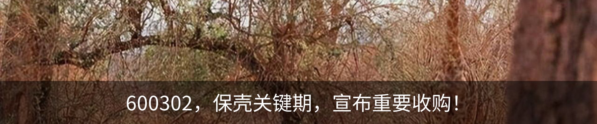 资讯动态